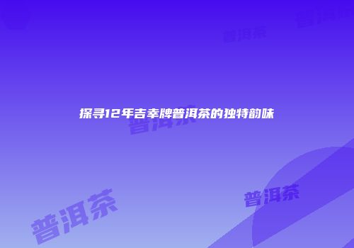探寻12年吉幸牌普洱茶的独特韵味