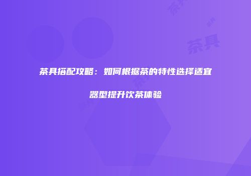 茶具搭配攻略：如何根据茶的特性选择适宜器型提升饮茶体验