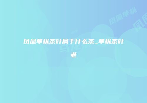 凤凰单枞茶叶属于什么茶_单枞茶叶老