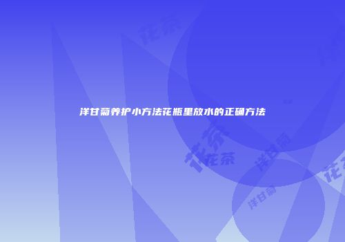 洋甘菊养护小方法花瓶里放水的正确方法