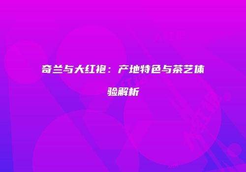 奇兰与大红袍：产地特色与茶艺体验解析