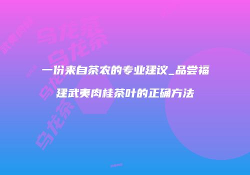 一份来自茶农的专业建议_品尝福建武夷肉桂茶叶的正确方法