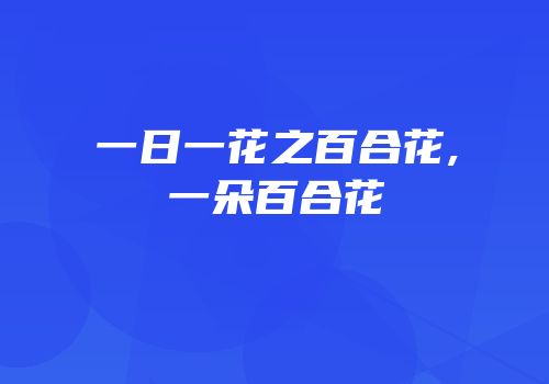一日一花之百合花,一朵百合花
