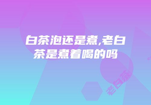 白茶泡还是煮,老白茶是煮着喝的吗