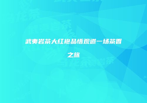武夷岩茶大红袍品悟观道一场茶香之旅