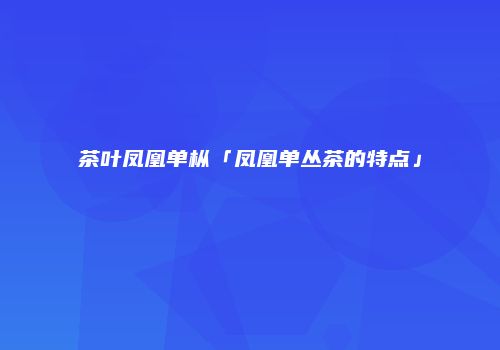 茶叶凤凰单枞「凤凰单丛茶的特点」