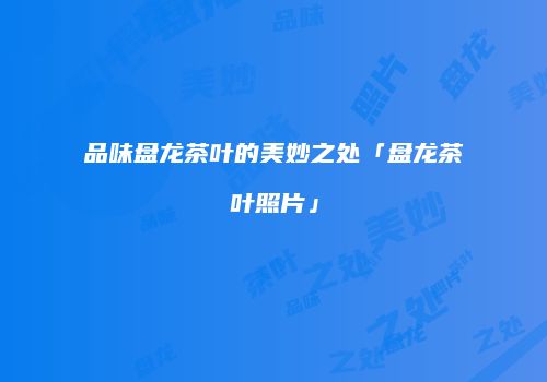 品味盘龙茶叶的美妙之处「盘龙茶叶照片」