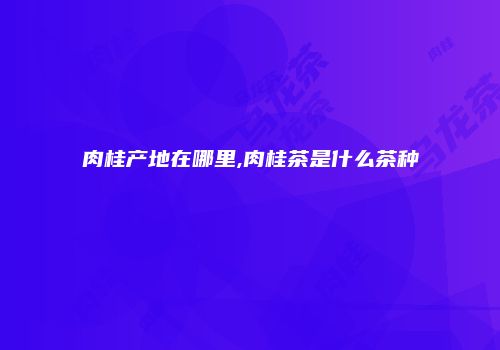 肉桂产地在哪里,肉桂茶是什么茶种