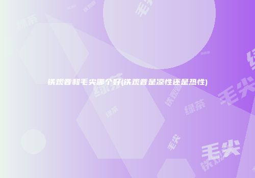 铁观音和毛尖哪个好(铁观音是凉性还是热性)