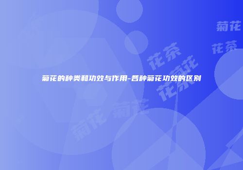 菊花的种类和功效与作用-各种菊花功效的区别