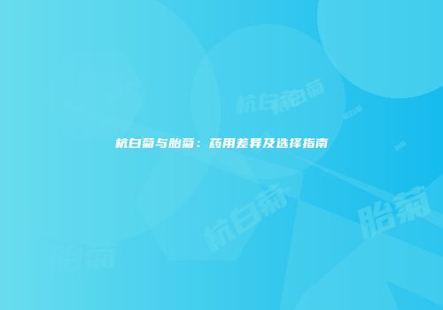 杭白菊与胎菊：药用差异及选择指南