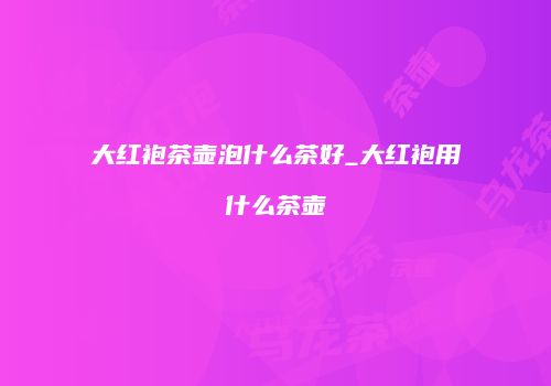 大红袍茶壶泡什么茶好_大红袍用什么茶壶
