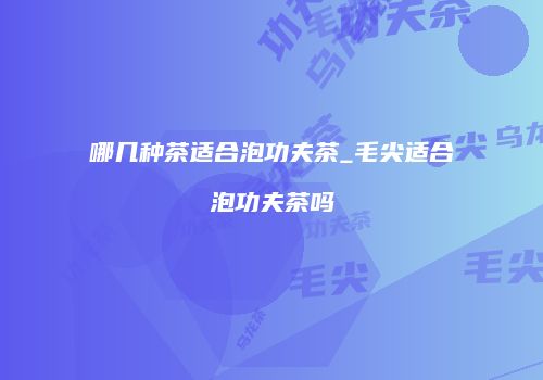 哪几种茶适合泡功夫茶_毛尖适合泡功夫茶吗
