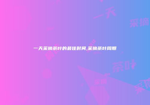 一天采摘茶叶的最佳时间,采摘茶叶周期