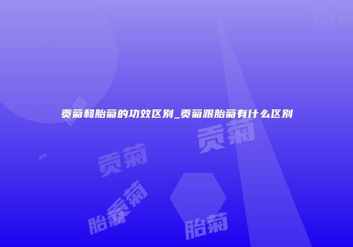 贡菊和胎菊的功效区别_贡菊跟胎菊有什么区别