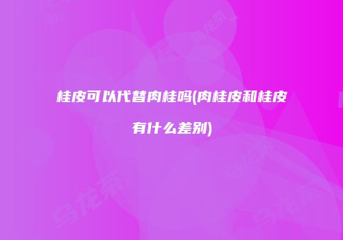 桂皮可以代替肉桂吗(肉桂皮和桂皮有什么差别)