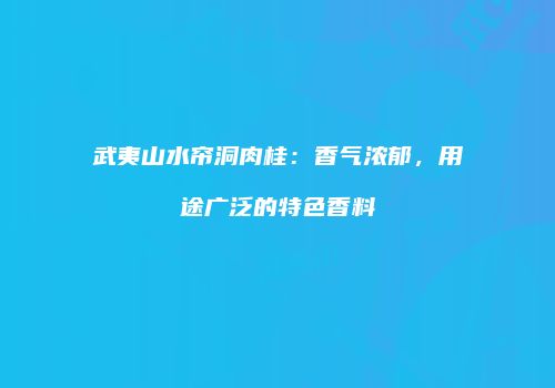 武夷山水帘洞肉桂：香气浓郁，用途广泛的特色香料