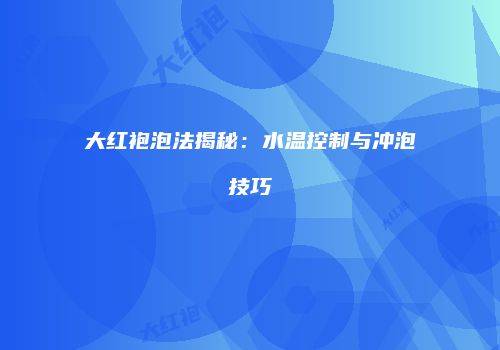 大红袍泡法揭秘：水温控制与冲泡技巧
