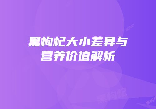 黑枸杞大小差异与营养价值解析