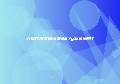 天福乔木普洱茶饼327g怎么品鉴？
