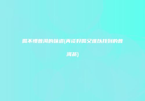 喝不惯普洱的味道(再谈好喝又难以找到的普洱茶)