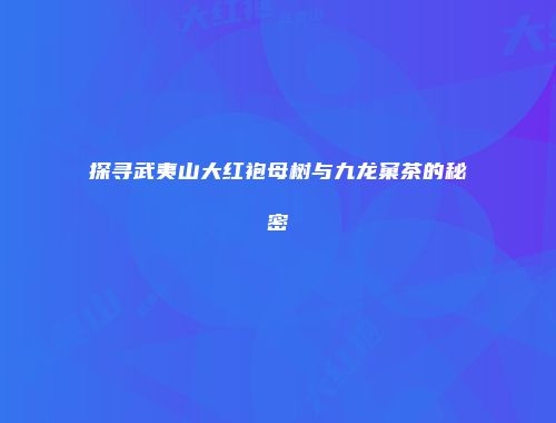 探寻武夷山大红袍母树与九龙窠茶的秘密