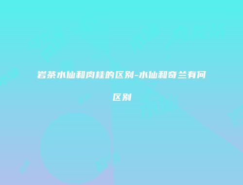 岩茶水仙和肉桂的区别-水仙和奇兰有何区别