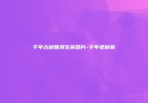 千年古树普洱生茶图片-千年老树茶