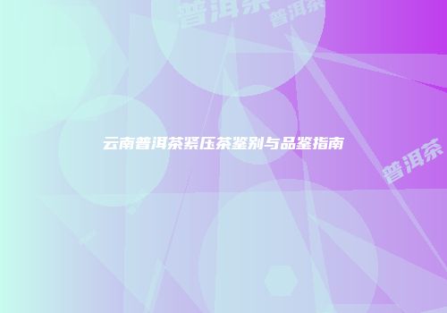 云南普洱茶紧压茶鉴别与品鉴指南