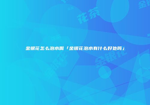 金银花怎么泡水喝「金银花泡水有什么好处吗」