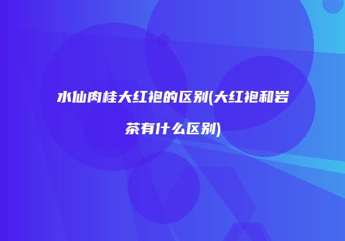 水仙肉桂大红袍的区别(大红袍和岩茶有什么区别)