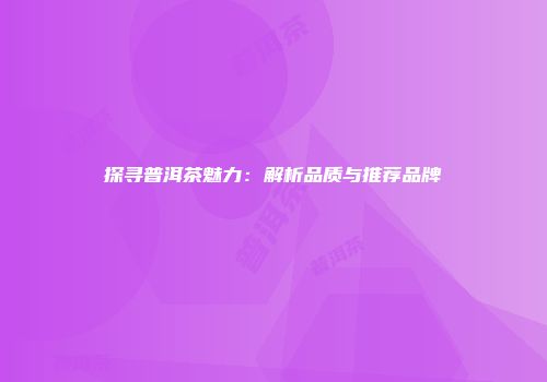 探寻普洱茶魅力：解析品质与推荐品牌