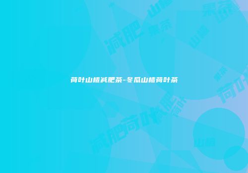 荷叶山楂减肥茶-冬瓜山楂荷叶茶