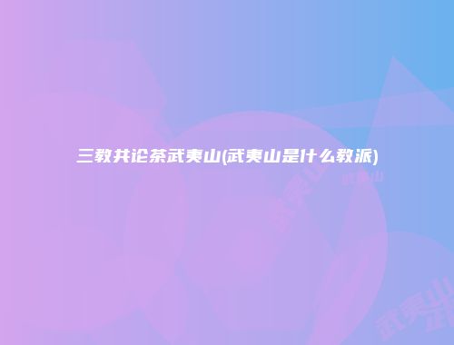 三教共论茶武夷山(武夷山是什么教派)