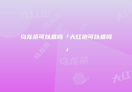 乌龙茶可以煮吗「大红袍可以煮吗」