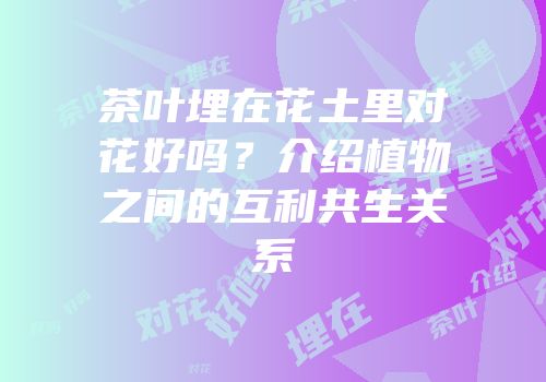茶叶埋在花土里对花好吗？介绍植物之间的互利共生关系