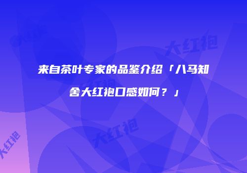 来自茶叶专家的品鉴介绍「八马知舍大红袍口感如何？」