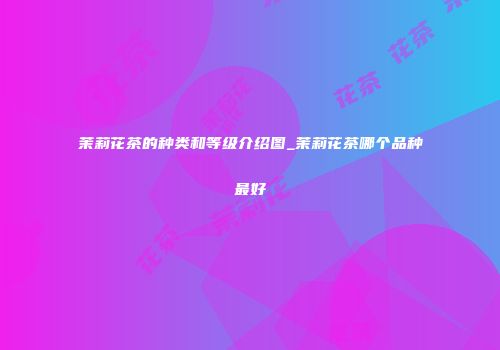 茉莉花茶的种类和等级介绍图_茉莉花茶哪个品种最好