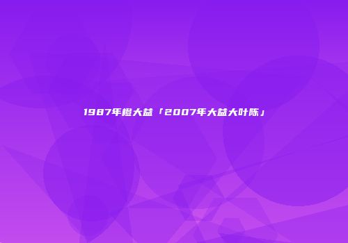 1987年橙大益「2007年大益大叶陈」