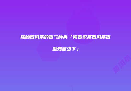 探秘普洱茶的香气种类「闻香识茶普洱茶香型知多少下」