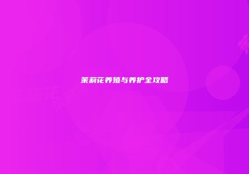 茉莉花养殖与养护全攻略