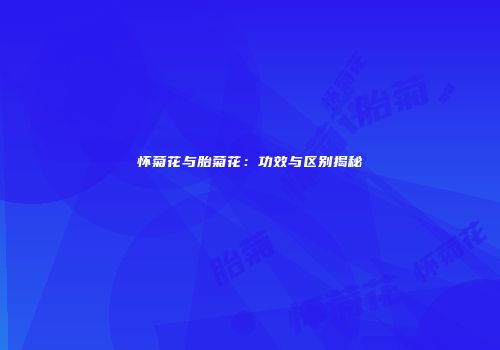 怀菊花与胎菊花：功效与区别揭秘