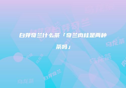 白芽奇兰什么茶「奇兰肉桂是两种茶吗」