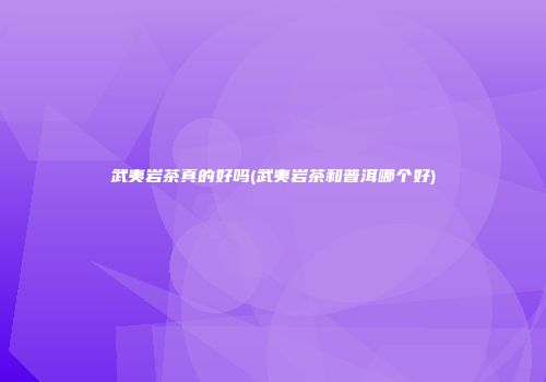 武夷岩茶真的好吗(武夷岩茶和普洱哪个好)