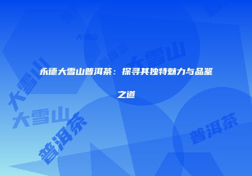 永德大雪山普洱茶：探寻其独特魅力与品鉴之道