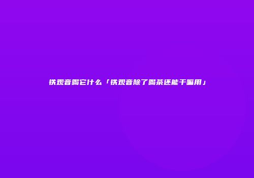 铁观音喝它什么「铁观音除了喝茶还能干嘛用」