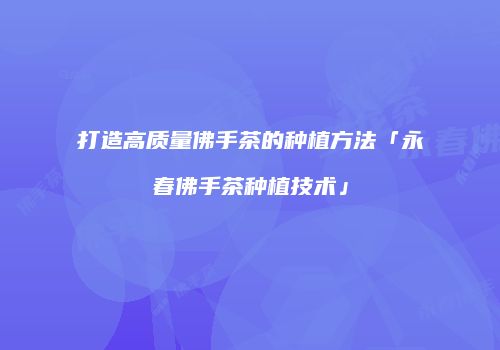 打造高质量佛手茶的种植方法「永春佛手茶种植技术」