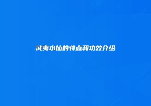 武夷水仙的特点和功效介绍