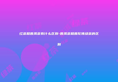 红茶和普洱茶有什么区别-普洱茶和普陀佛绿茶的区别