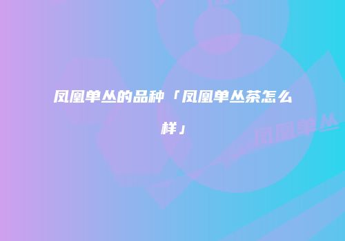 凤凰单丛的品种「凤凰单丛茶怎么样」
